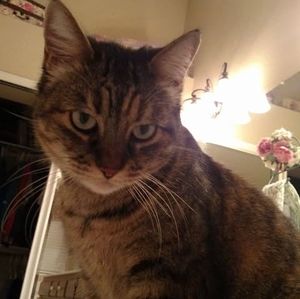 Meet your Posher, Susan